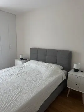 Izdavanje, jednosoban stan, 40m², Central Point, Podgorica - image 2