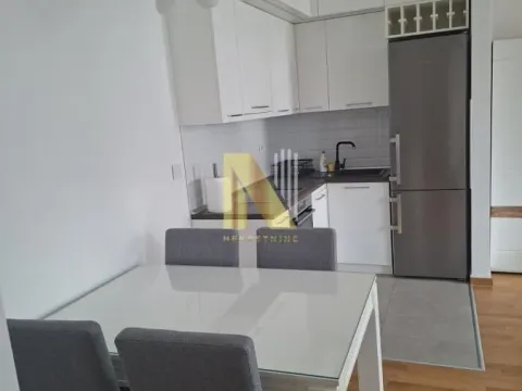 Izdavanje, jednosoban stan, 41m², Bulevar patrijarha Pavla, Novi Sad Sve Podlokacije - image 4