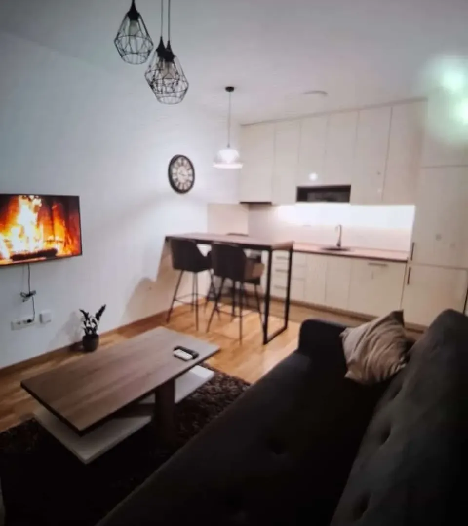 Rent, one bedroom apartment, 37m², Zabjelo, Podgorica