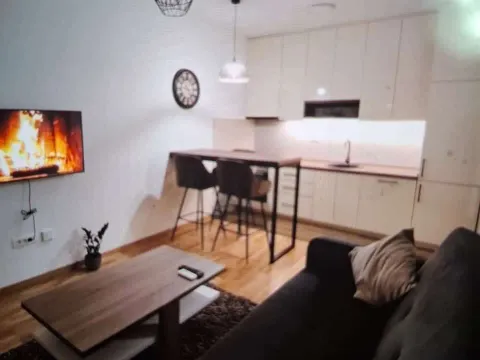 Izdavanje, jednosoban stan, 37m², Zabjelo, Podgorica - image 4