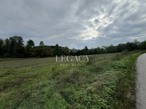 Sale, land lot, 6943m², Mladenovac, Beograd - image 5