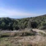 Prodaja, plac, 490m², Kotor, Crna Gora - image 3