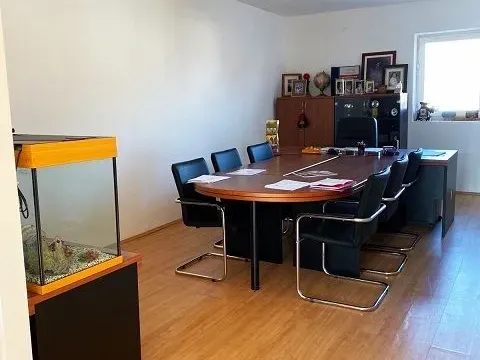 Izdavanje, poslovni prostor, 700m², Altina, Beograd - image 5