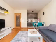 Izdavanje, jednosoban stan, 43m², Stari Aerodrom, Podgorica - image 4