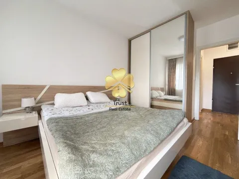 Izdavanje, jednosoban stan, 50m², Zagorič, Podgorica - image 9