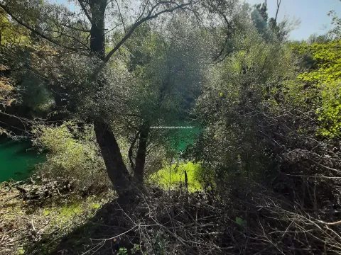 Prodaja, plac, 2500m², Spuž, Danilovgrad - image 3