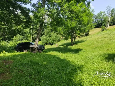 Sale, land lot, 1313m², Drpe, Kolašin - image 4