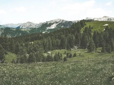 Prodaja, plac, 10261m², Žabljak, Crna Gora - image 3
