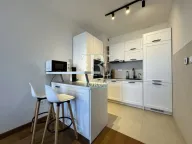 Izdavanje, jednosoban stan, 50m², Tološka šuma, Podgorica - image 2