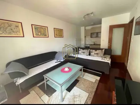 Izdavanje, jednosoban stan, 45m², Stari Aerodrom, Podgorica - image 2