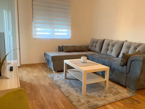 Rent, one bedroom apartment, 48m², Stari Aerodrom, Podgorica - image 5