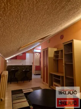 Dnevna soba sa kosim plafonom i nameštajem, povezana sa kuhinjom. - image 4