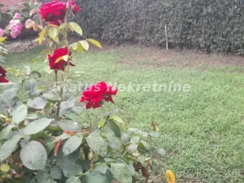 Prodaja, kuća, 190m², Futog, Novi Sad Sve Podlokacije - image 2