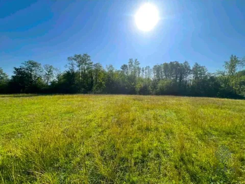 Sale, land lot, 5181m², Ćurilac, Danilovgrad - image 5