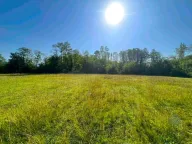 Prodaja, plac, 5181m², Ćurilac, Danilovgrad - image 5