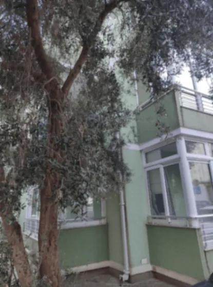 Izdavanje, stan, 60m², Rozino, Budva