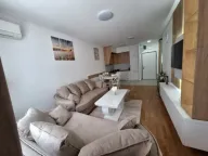 Izdavanje, jednosoban stan, 48m², Stari Aerodrom, Podgorica - image 3