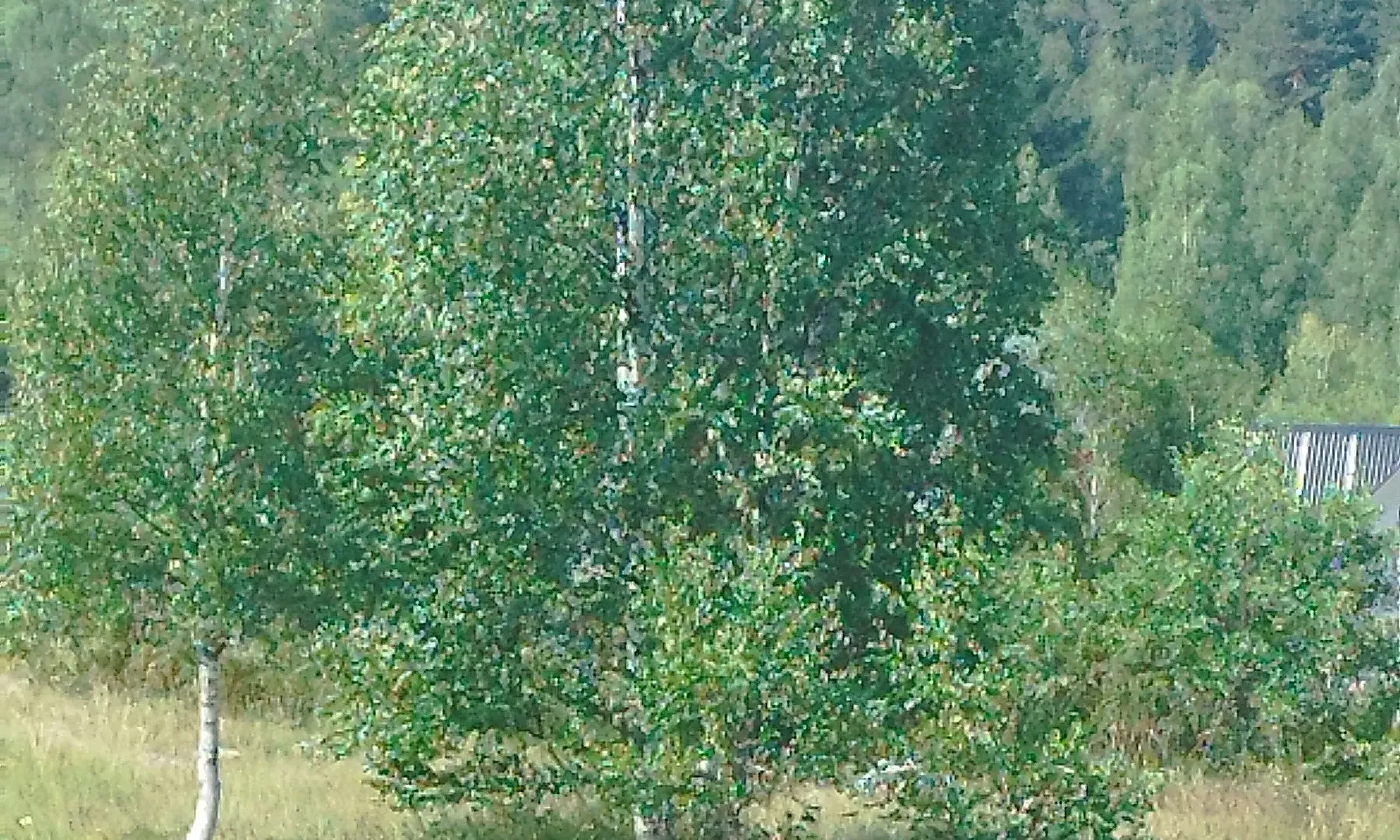 Sale, land lot, 596m², Tepačko polje, Žabljak