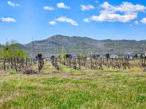 Prodaja, zemljište, 890m2, Dajbabe, Podgorica Prodaja, zemljište, 890m2, Dajbabe, Podgorica