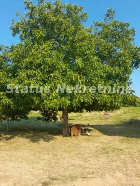 Sale, house, 50m², Beočin, Srbija