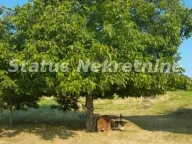 Sale, house, 50m², Beočin, Srbija - image 6