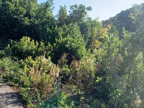 Sale, land lot, 1594m², Utjeha, Bar - image 6