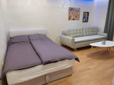 Izdavanje, garsonjera, 31m², Pažići, Danilovgrad - image 5