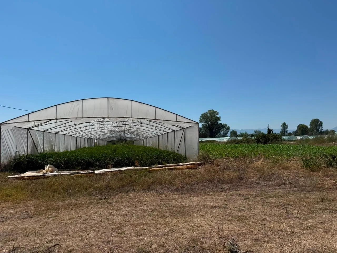Prodaja, plac, 5900m², Zeta, Podgorica