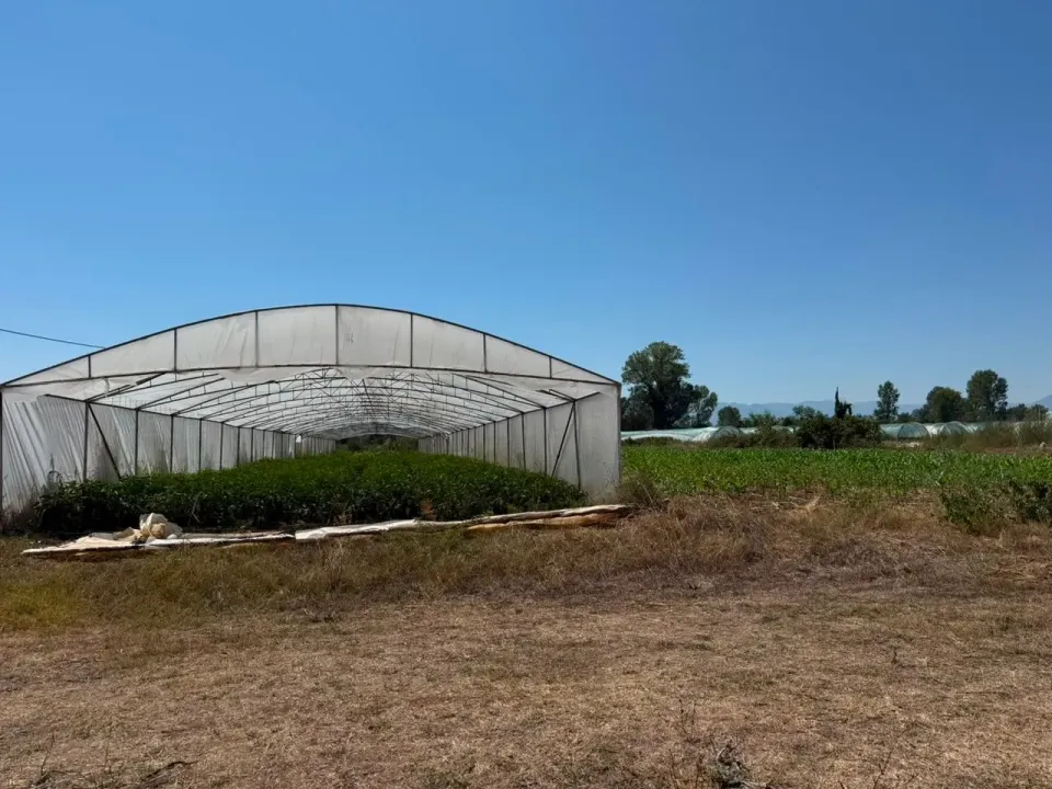 Sale, land lot, 5900m², Zeta, Podgorica
