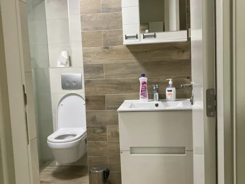 Izdavanje, jednosoban stan, 44m², Zemun Sve Podlokacije, Beograd - image 10