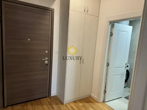 Rent, one bedroom apartment, 47m², Zabjelo, Podgorica - image 6