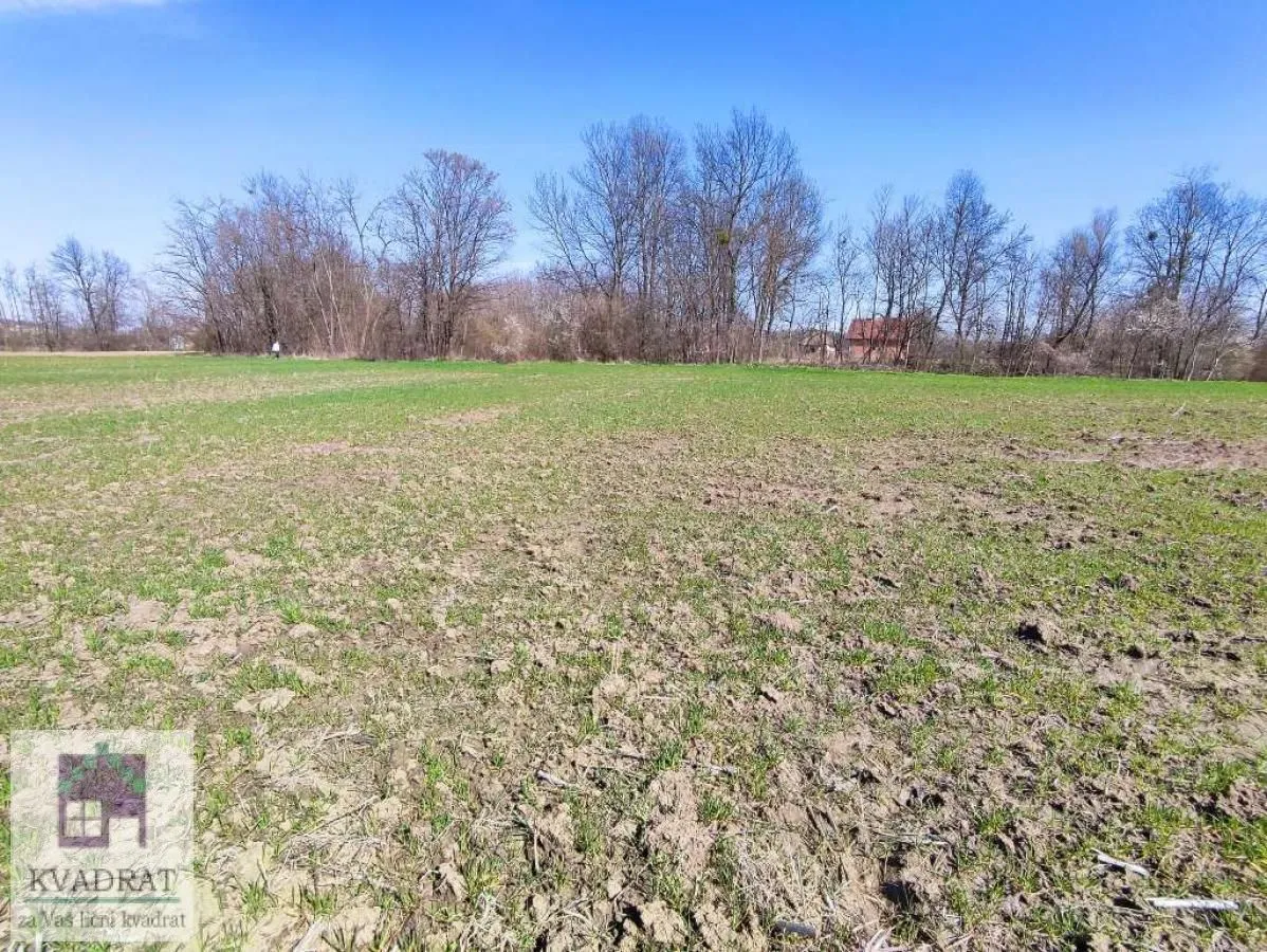Prodaja, plac, 18200m², Brgule, Ub