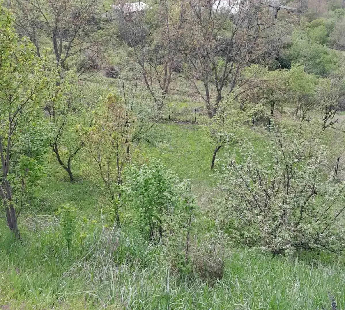 Prodaja, kuća, 120m², Rakovac, Novi Sad Sve Podlokacije