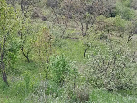 Prodaja, kuća, 120m², Rakovac, Novi Sad Sve Podlokacije - image 10