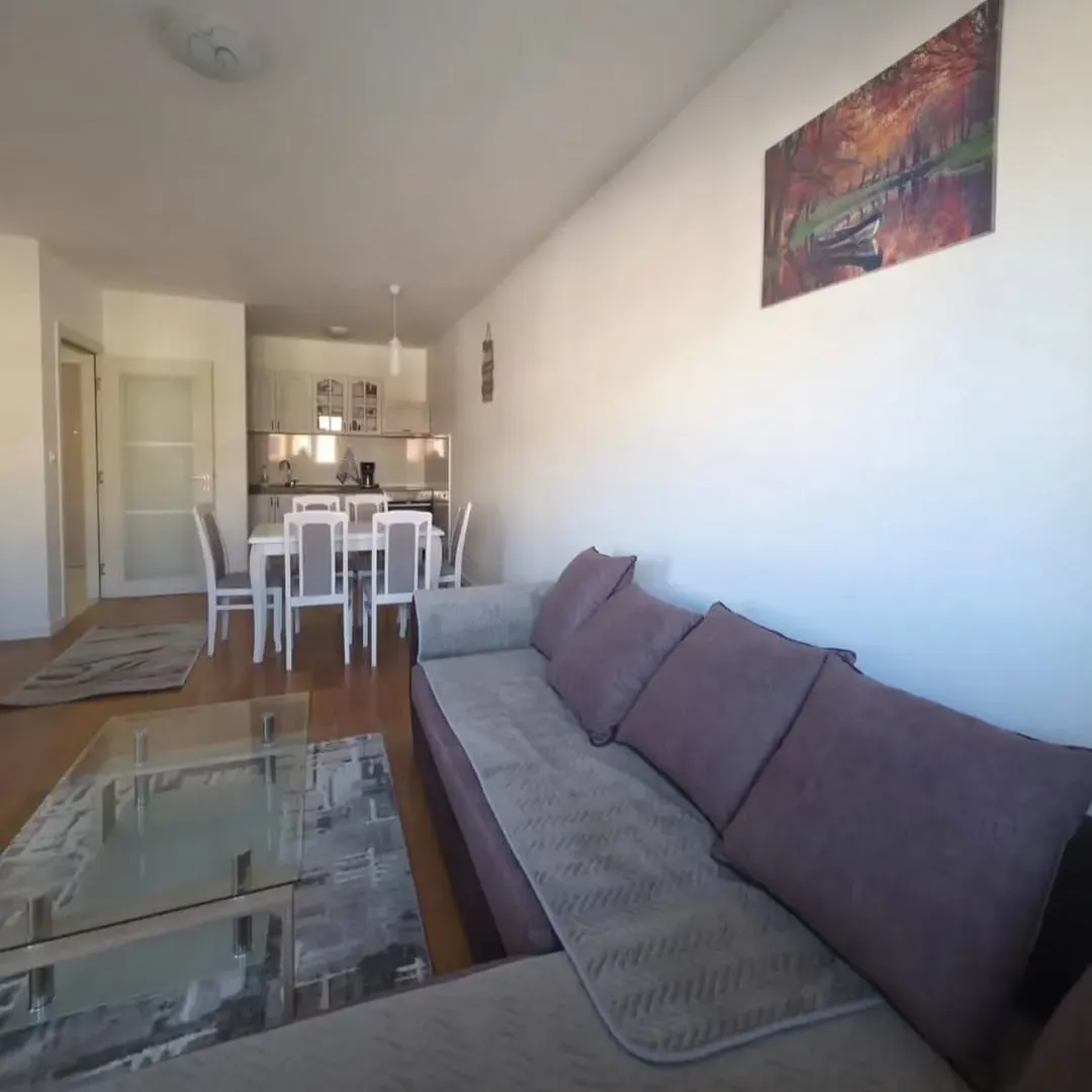Izdavanje, jednosoban stan, 49m², Central Point, Podgorica