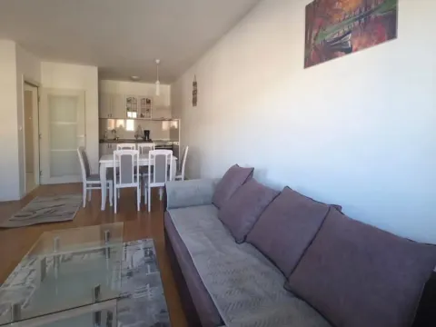 Izdavanje, jednosoban stan, 49m², Central Point, Podgorica - image 4
