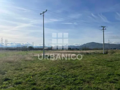Sale, land lot, 1100m², Dajbabe, Podgorica - image 3