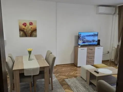 Izdavanje, dvosoban stan, 50m², Detelinara, Novi Sad Sve Podlokacije - image 9