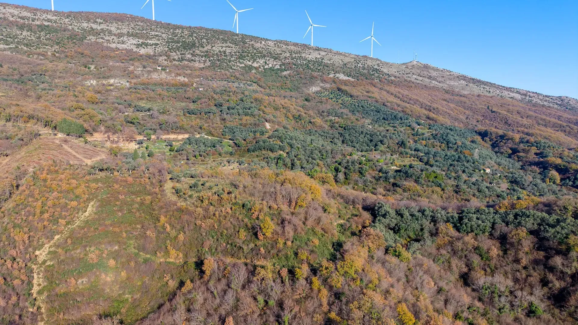 Prodaja, plac, 28959m², Kolomza, Ulcinj