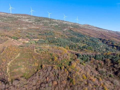 Sale, land lot, 28959m², Kolomza, Ulcinj - image 7