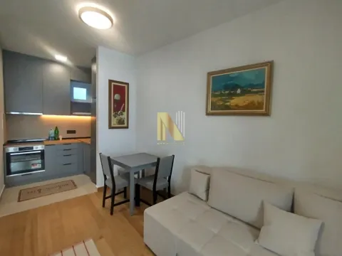 Izdavanje, dvosoban stan, 43m², Grbavica, Novi Sad Sve Podlokacije - image 3