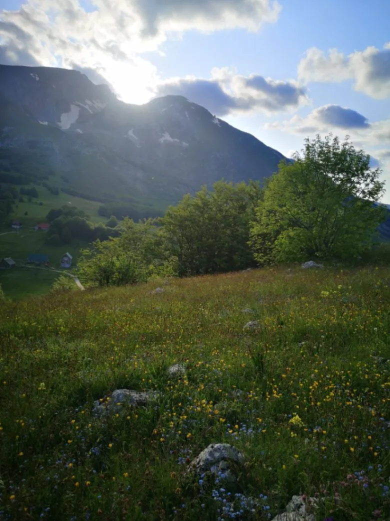 Prodaja, plac, 1708m², Pošćenski Kraj, Žabljak
