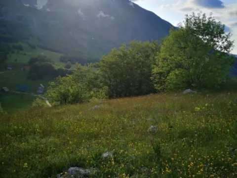 Sale, land lot, 1708m², Pošćenski Kraj, Žabljak - image 6