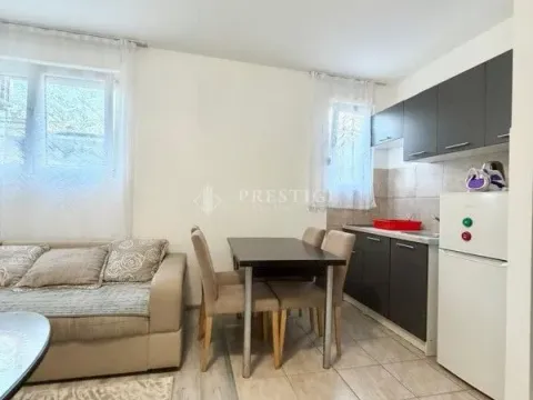 Rent, one bedroom apartment, 40m², Zabjelo, Podgorica - image 3