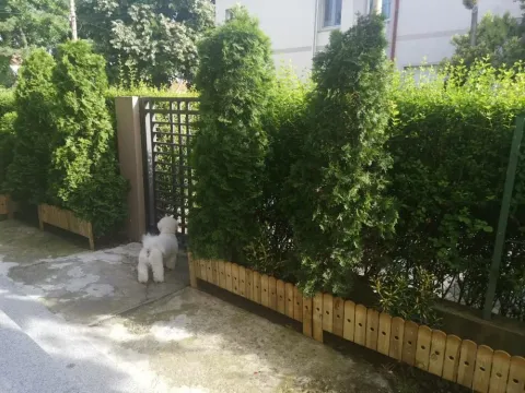 Prodaja, četvorosoban stan, 135m², Zemun Cara Dušana, Zemun Sve Podlokacije - image 13