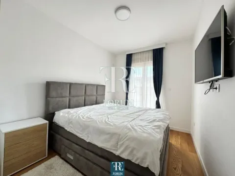 Izdavanje, jednosoban stan, 50m², Central Point, Podgorica - image 9