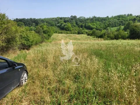 Prodaja, plac, 6900m², Mladenovac, Beograd - image 2