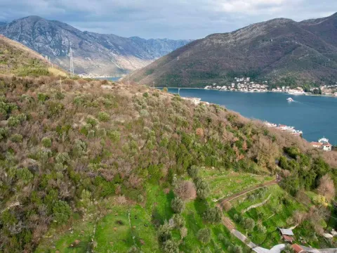 Prodaja, plac, 750m², Herceg Novi, Crna Gora - image 12