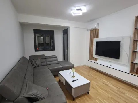 Izdavanje, jednosoban stan, 70m², Stari Aerodrom, Podgorica - image 2