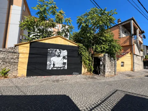 Pogled na ulicu sa kaldrmom i fasadom zgrade sa muralom. - image 2